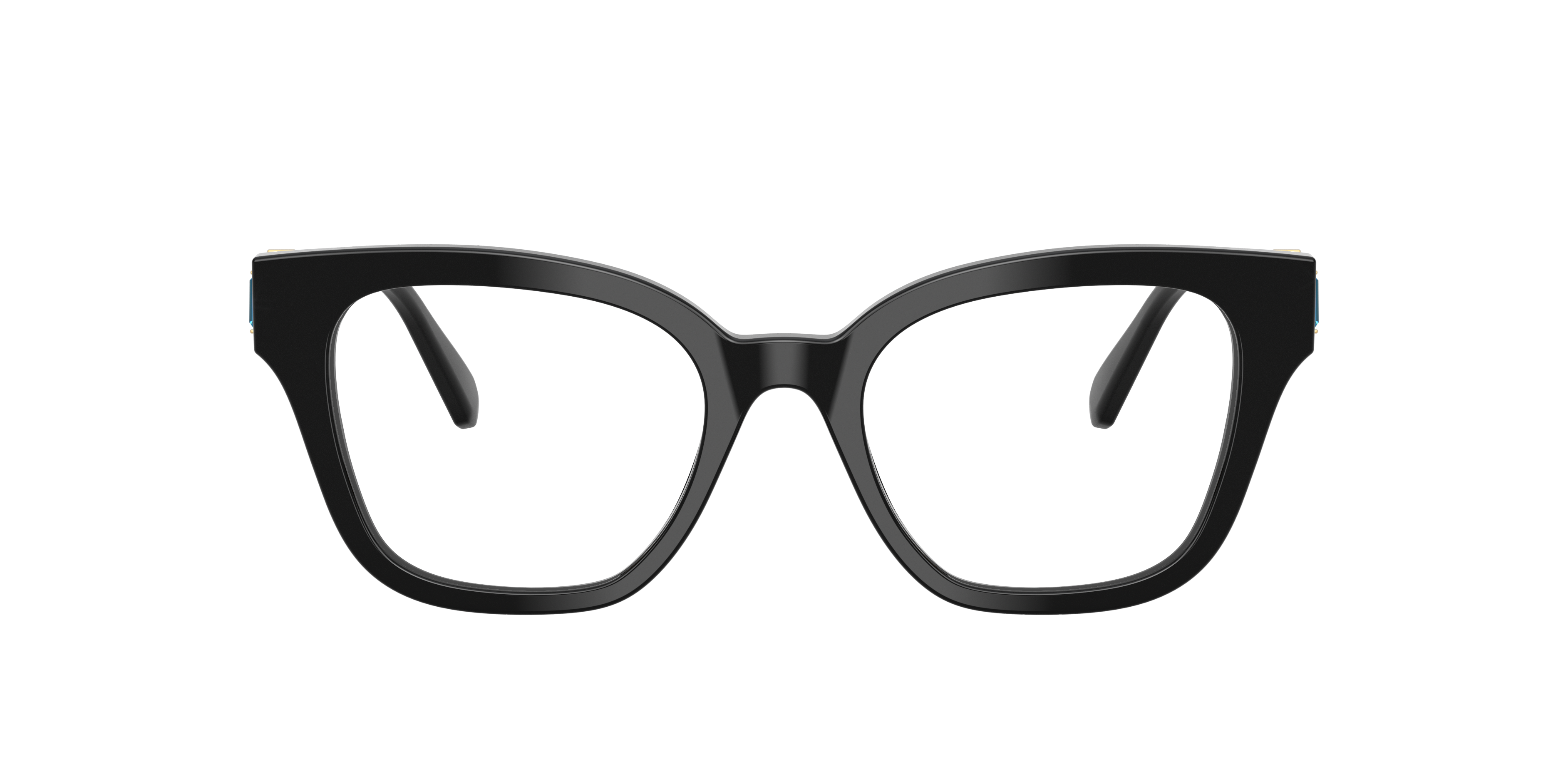 サトニャン。オラフ　SWAROVSKI Swarovski SK2048 Eyeglasses | LensCrafters