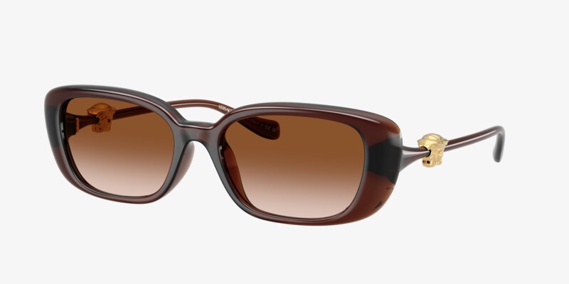D&G Women\'s Tortoise Sunglasses with Rose Lenses Erdem Ladies Sunglasses Cat Eye Tortoise Shell and Brown  main image 3