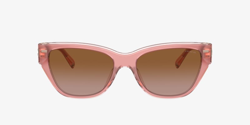 Coach HC8132 L109 Sunglasses | LensCrafters