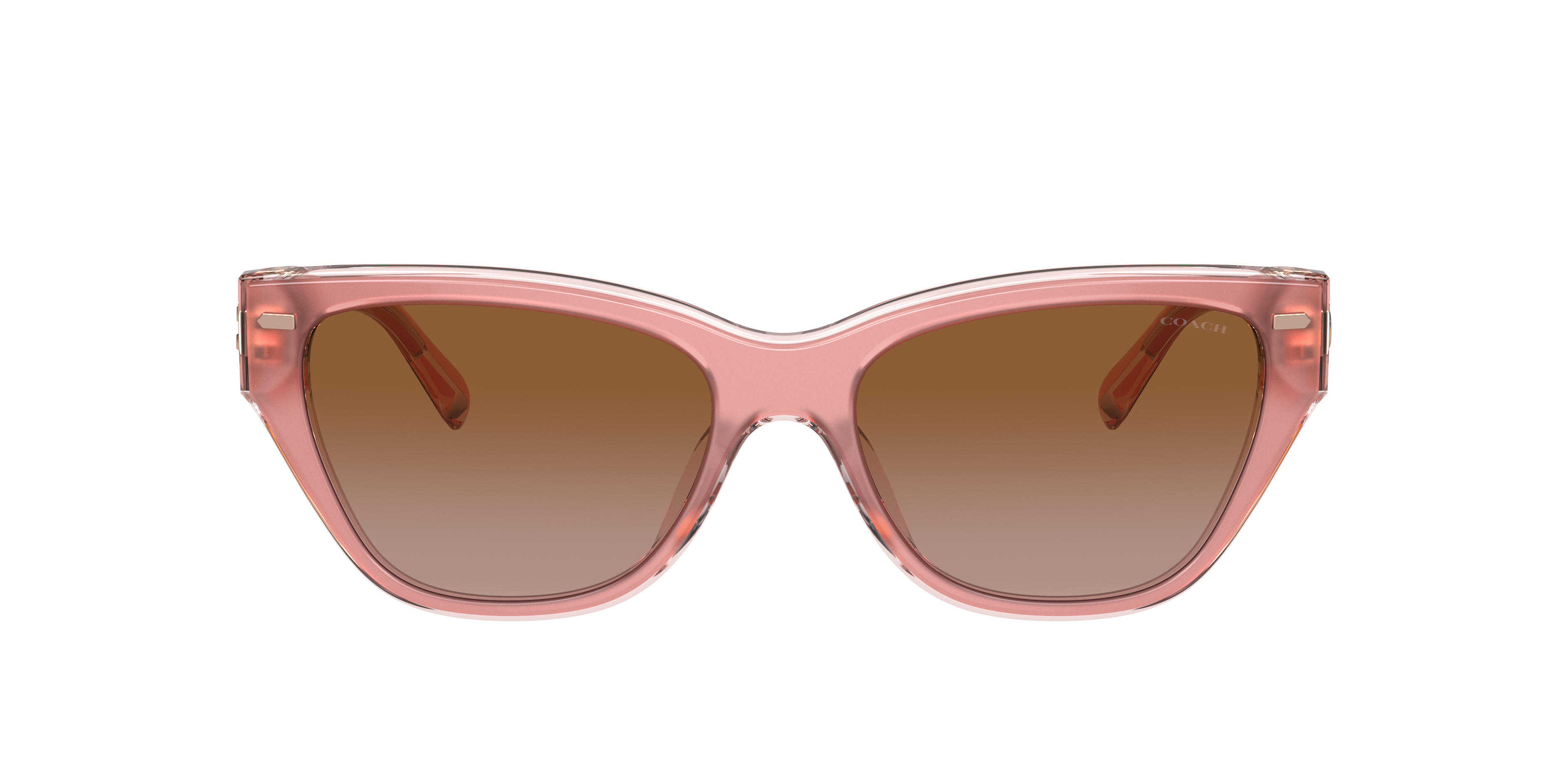 Coach HC8370U CH570 Sunglasses | LensCrafters