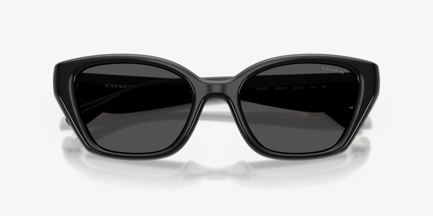 Coach HC8434U CBY91 Sunglasses | LensCrafters
