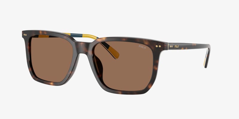 Polo Ralph Lauren PH4217 Sunglasses | LensCrafters