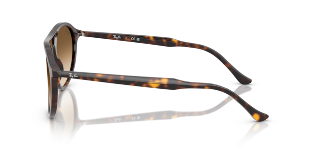 Ray-Ban Unisex Havana