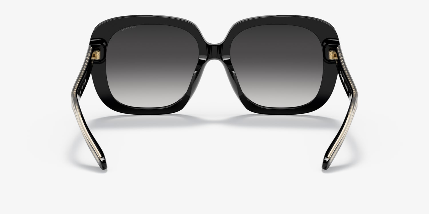 Coach HC8323U C6185 Sunglasses | LensCrafters