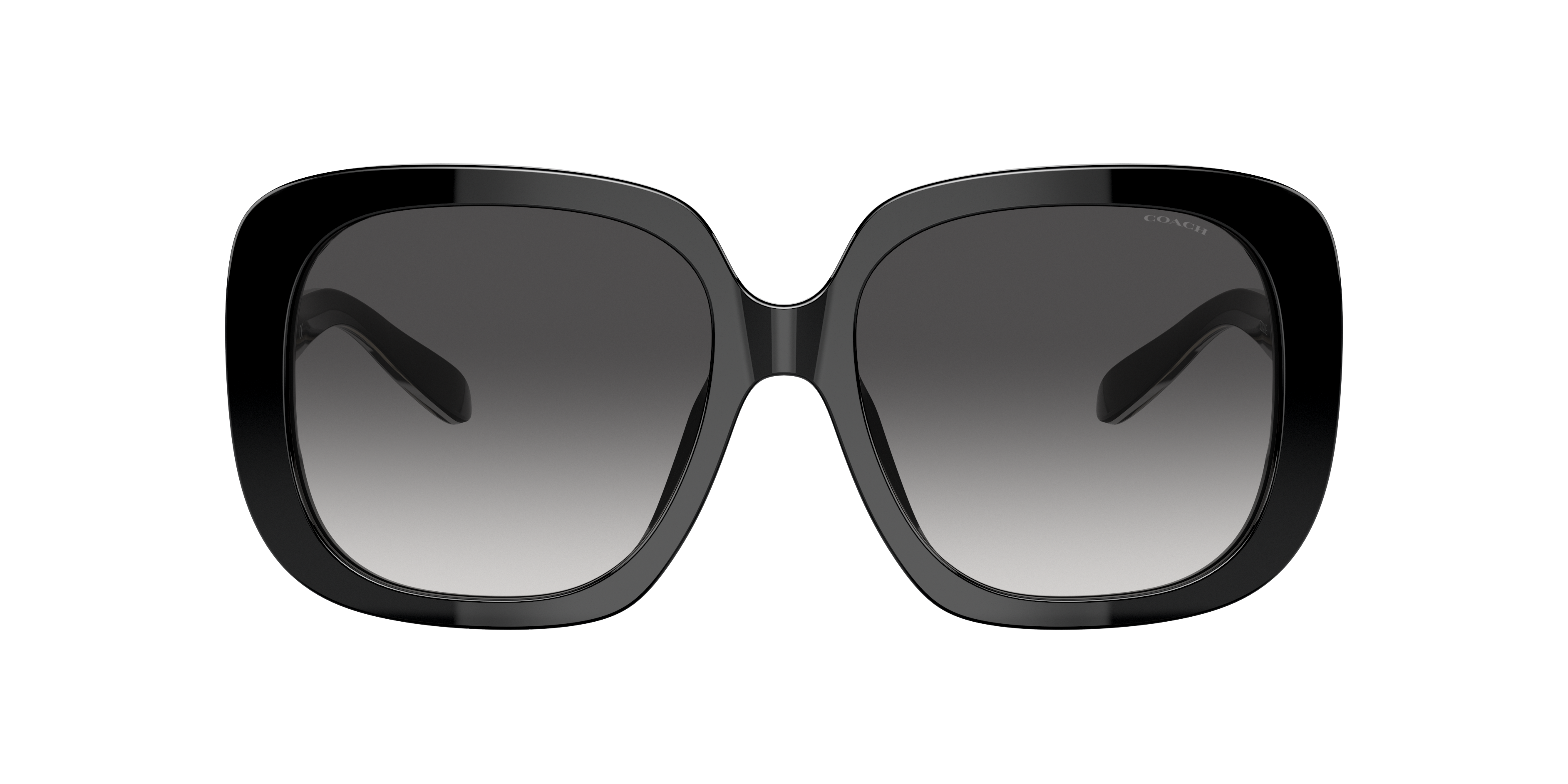 Coach HC8323U C6185 Sunglasses | LensCrafters