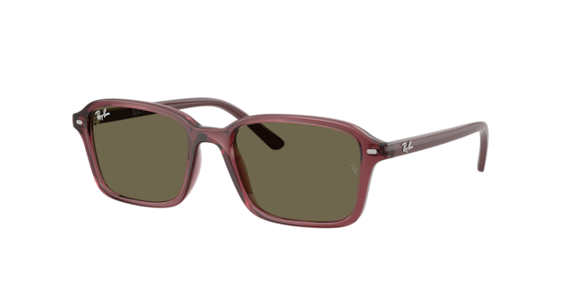 Ray-Ban Unisex Transparent