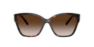 Tiffany TF4254U Sunglasses | LensCrafters