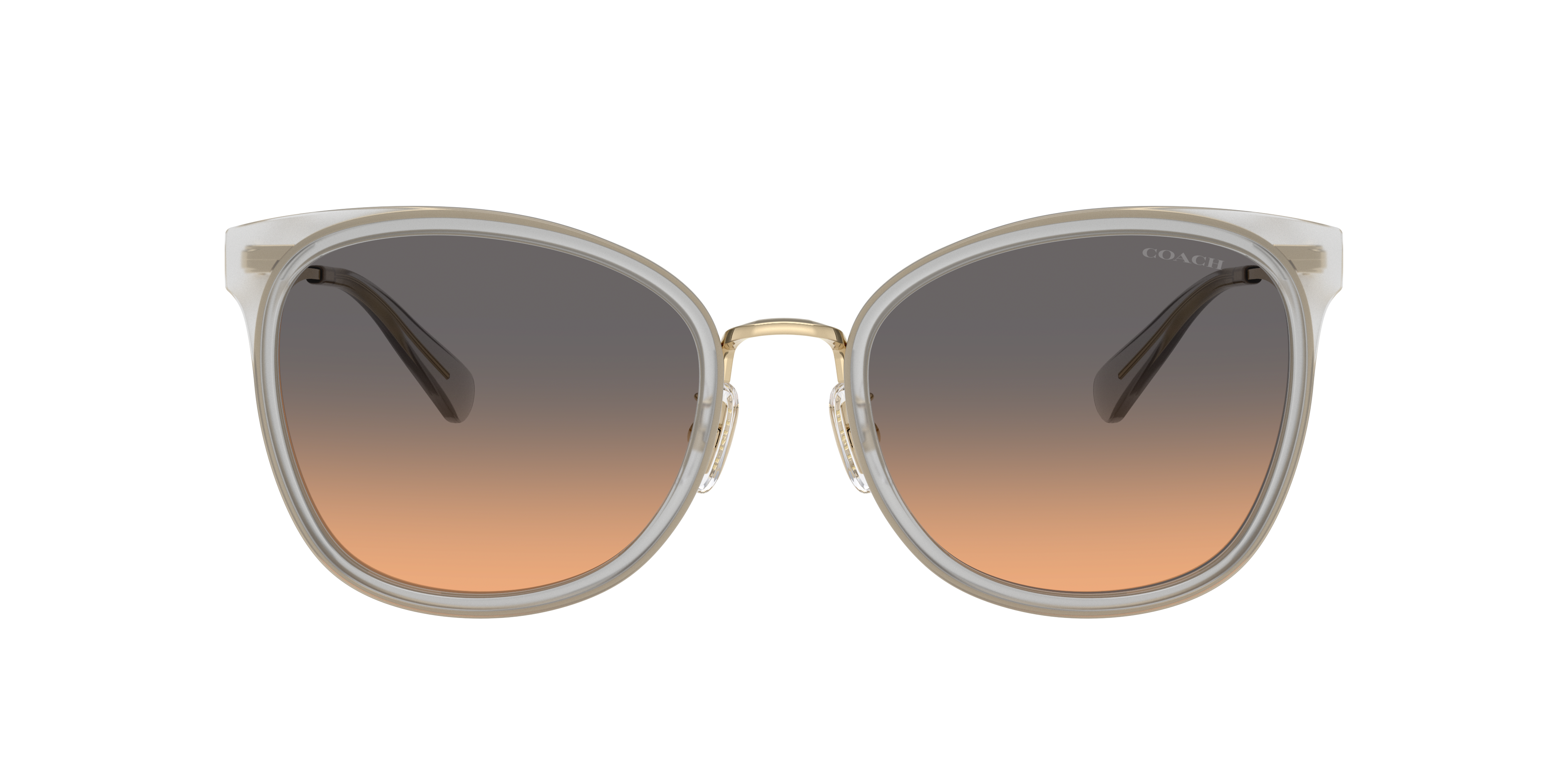 Coach HC7170 CW185 Sunglasses | LensCrafters