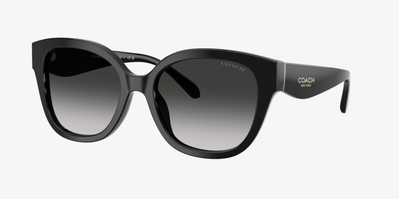 Coach HC8408U CW195 Sunglasses | LensCrafters display picture 2