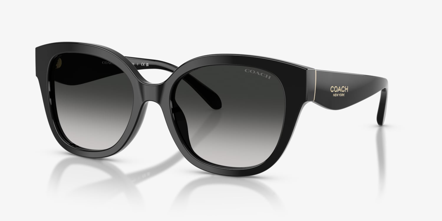 Coach HC8438U CBY94 Sunglasses | LensCrafters display picture 2