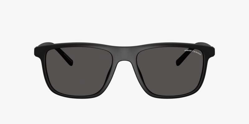 『ARMANI / アルマーニ』 ブラック グレー サングラス 男女兼用 新品 選べる2色 調光レンズ】エンポリオアルマーニ サングラス EMPORIO