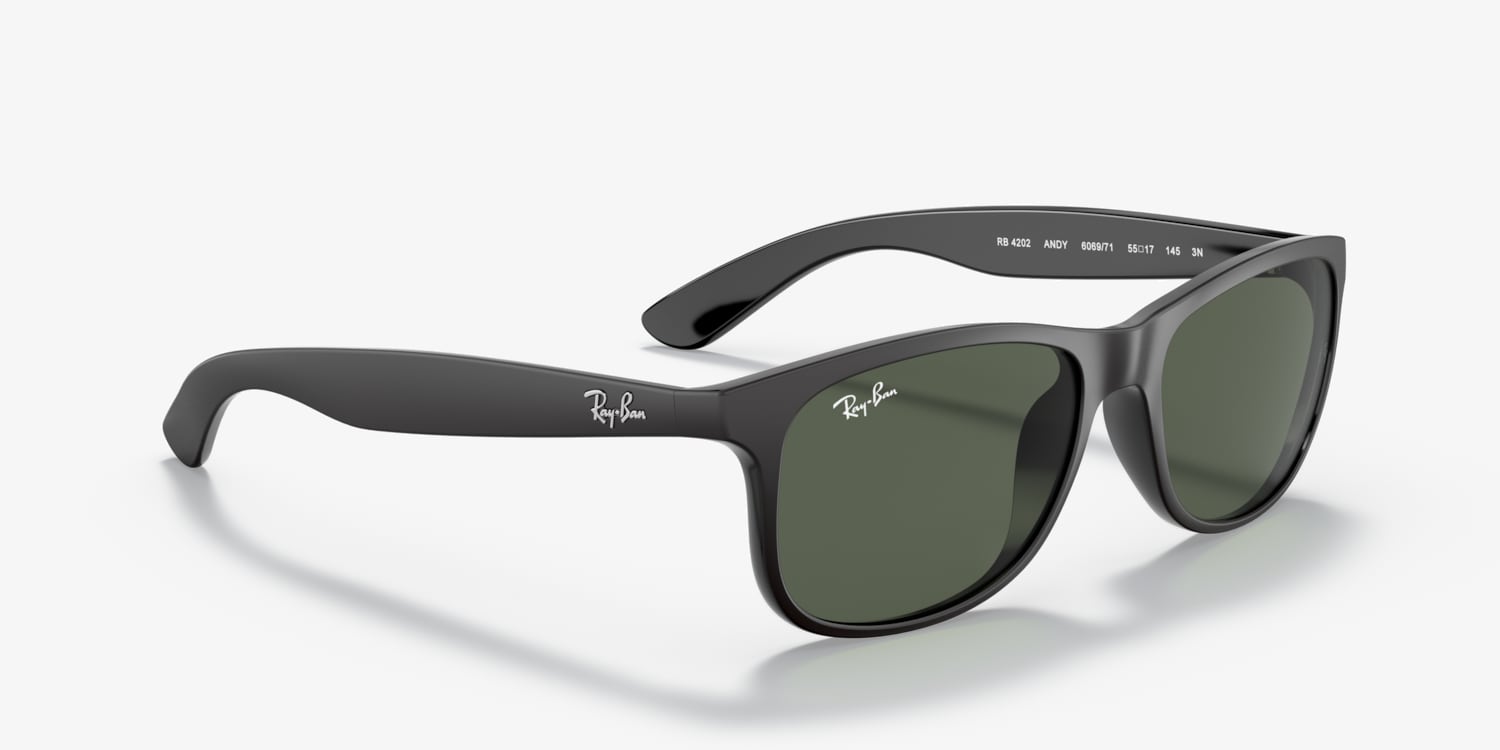 Ray-Ban / サングラス/BLK/メンズ/RB4202-F Ray-Ban RB4202 Andy Sunglasses | LensCrafters