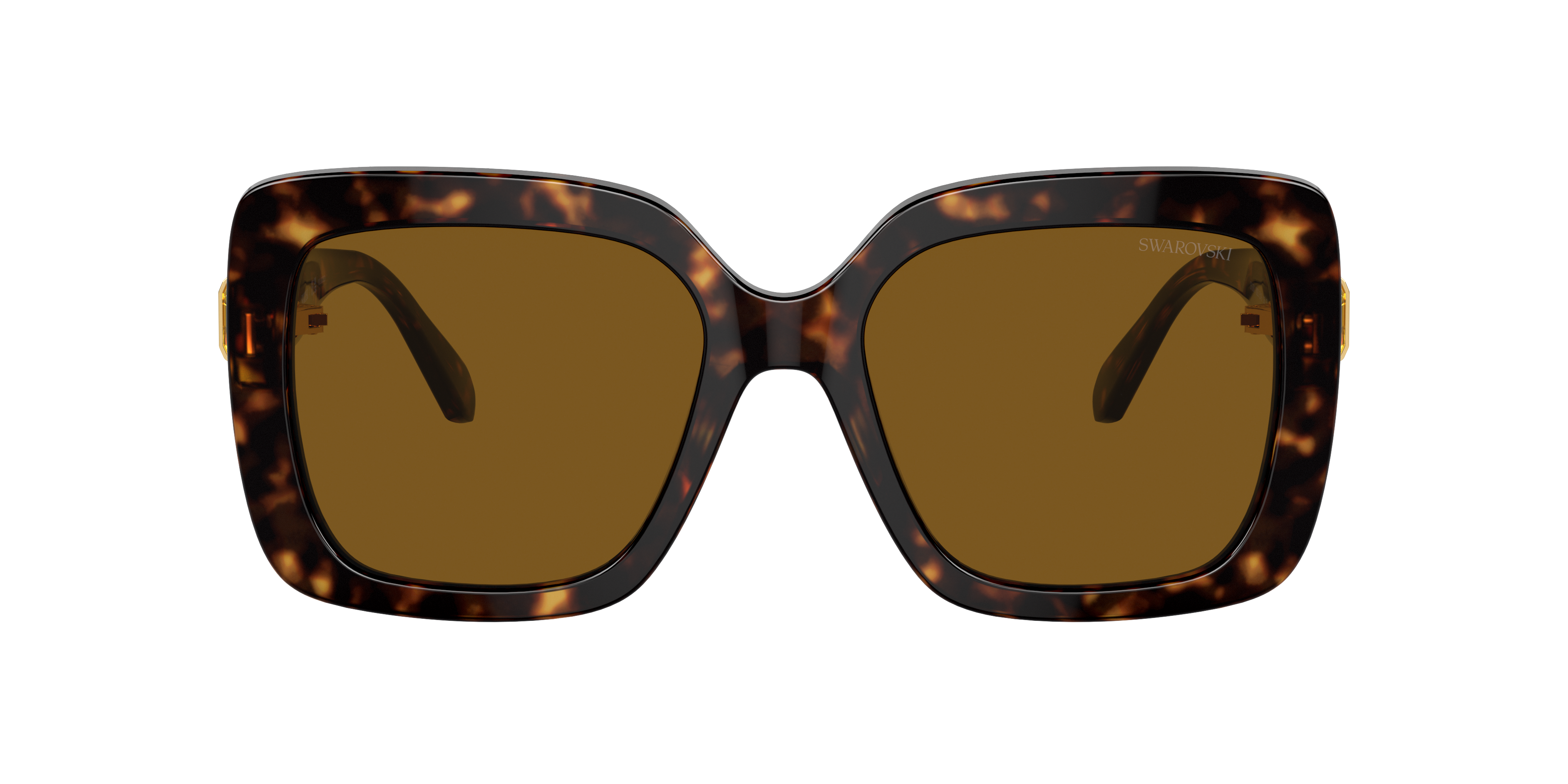 Swarovski SK6001 Sunglasses | LensCrafters