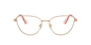 Swarovski SK1007 Eyeglasses | LensCrafters