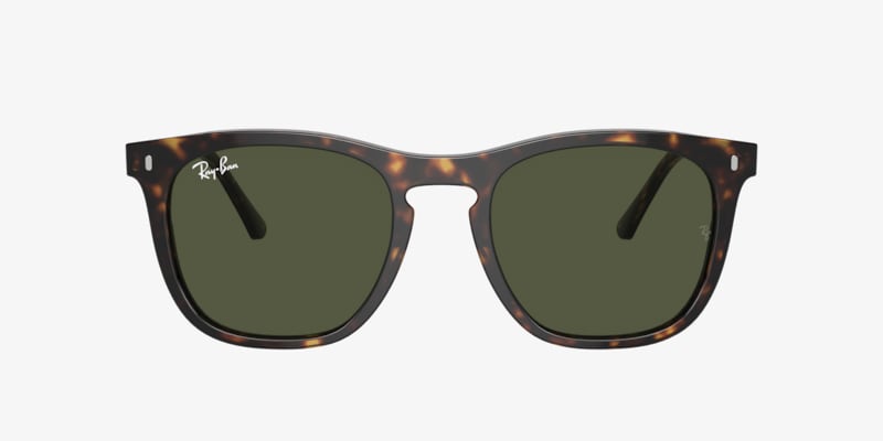 Ray-Ban RB4171F Erika Classic Sunglasses | LensCrafters