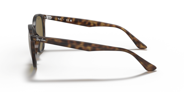 Ray-Ban Unisex Light Havana