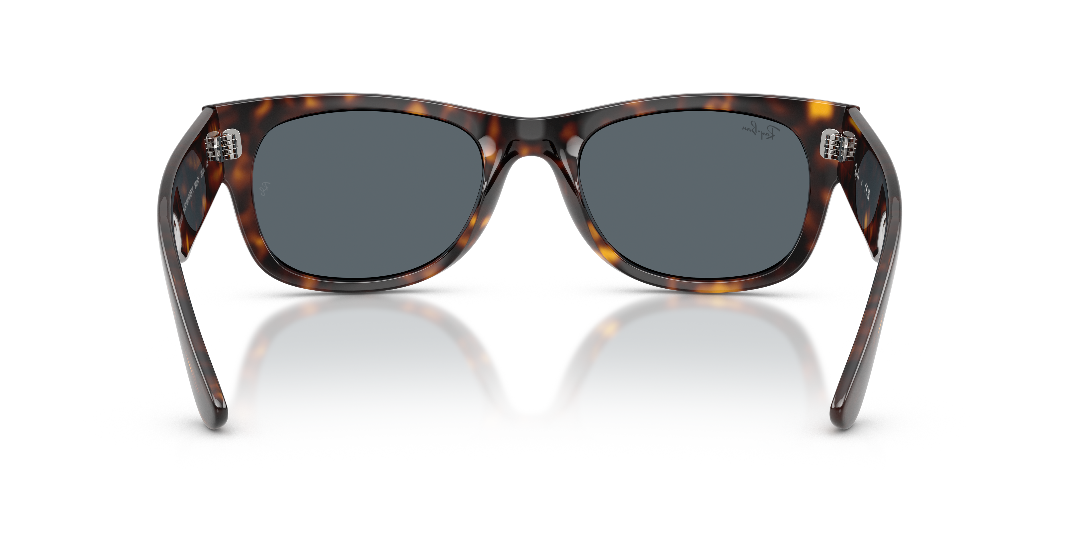 RB0832S Mega Wayfarer II