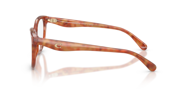 Coach Woman Tortoise