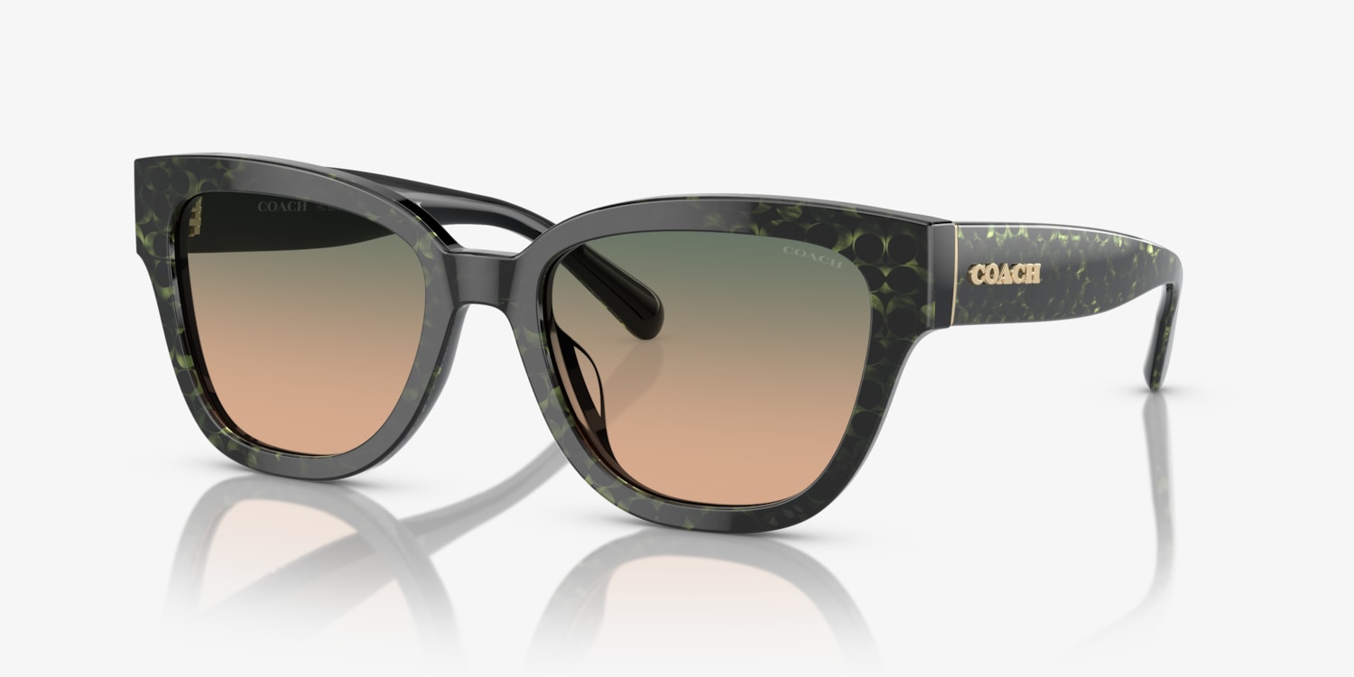 Coach HC8379U CL920 Sunglasses | LensCrafters