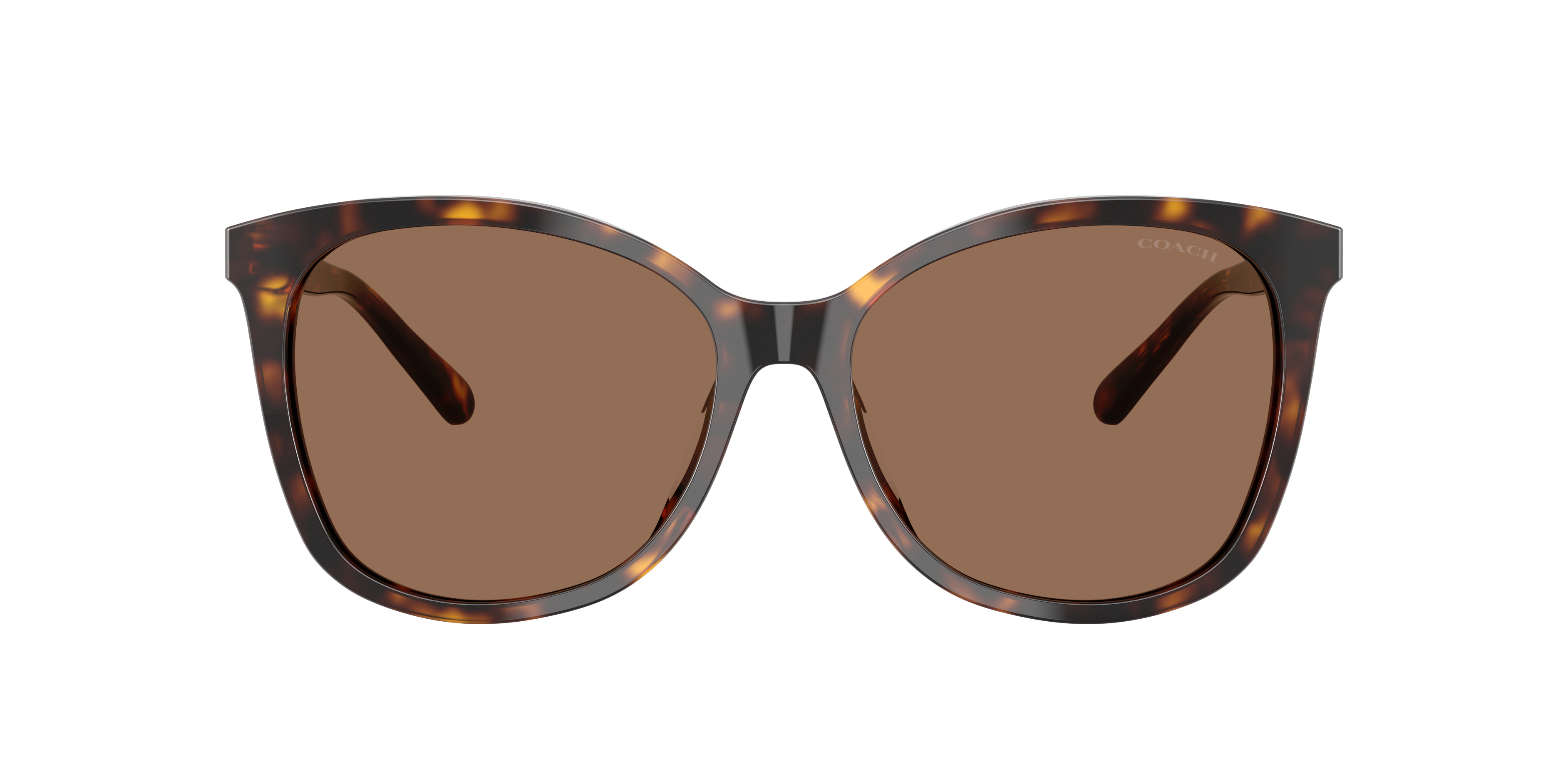 Coach HC8271U L1101 Sunglasses | LensCrafters