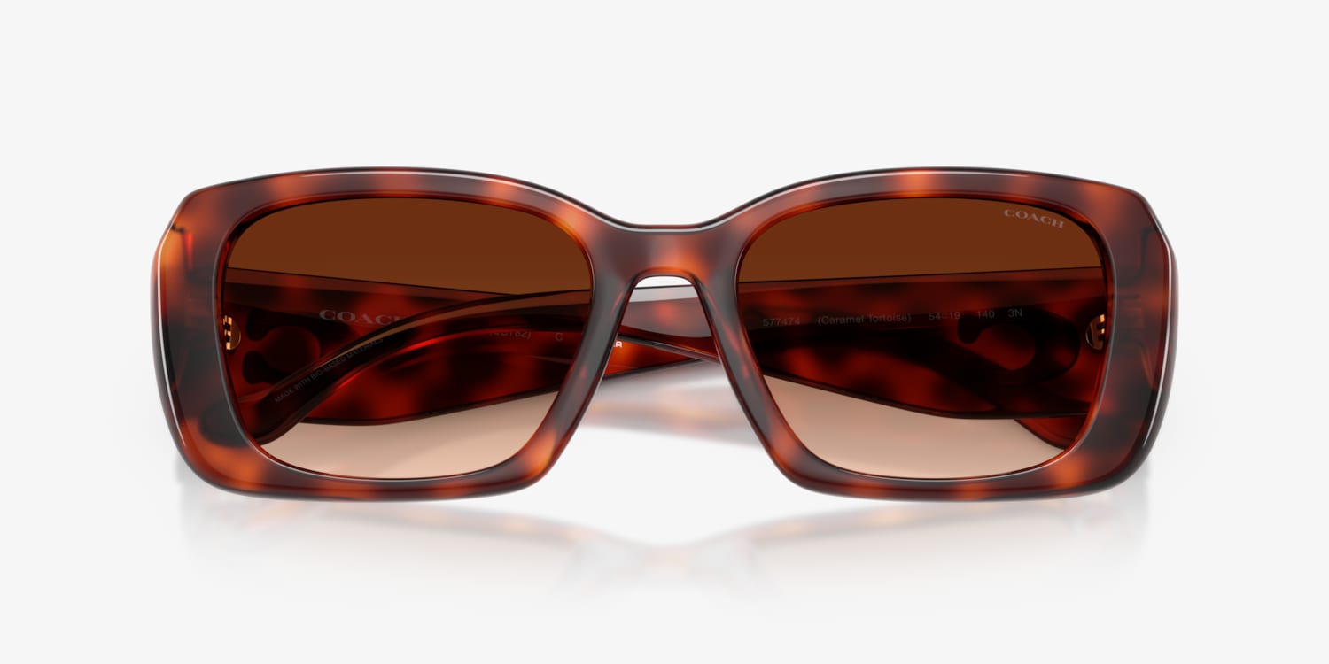 EFFECTOR ふち太　サングラス ケース付き　chorus 鼈甲ブラウン EFFECTOR ふち太 サングラス ケース付き chorus 鼈甲ブラウ