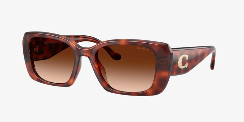 Coach HC8232 L1010 Sunglasses | LensCrafters