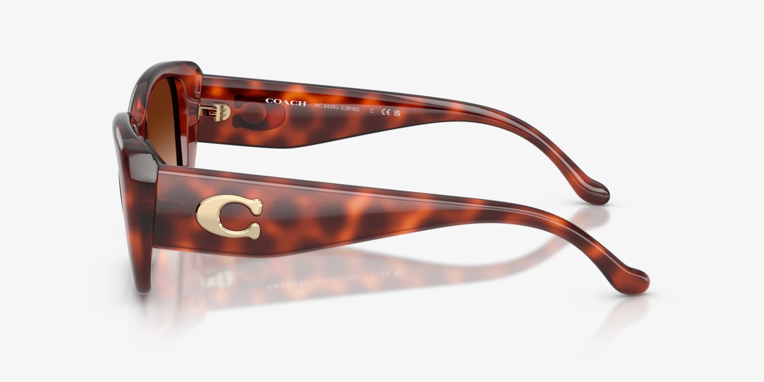 Coach HC8435U CBY82 Sunglasses | LensCrafters