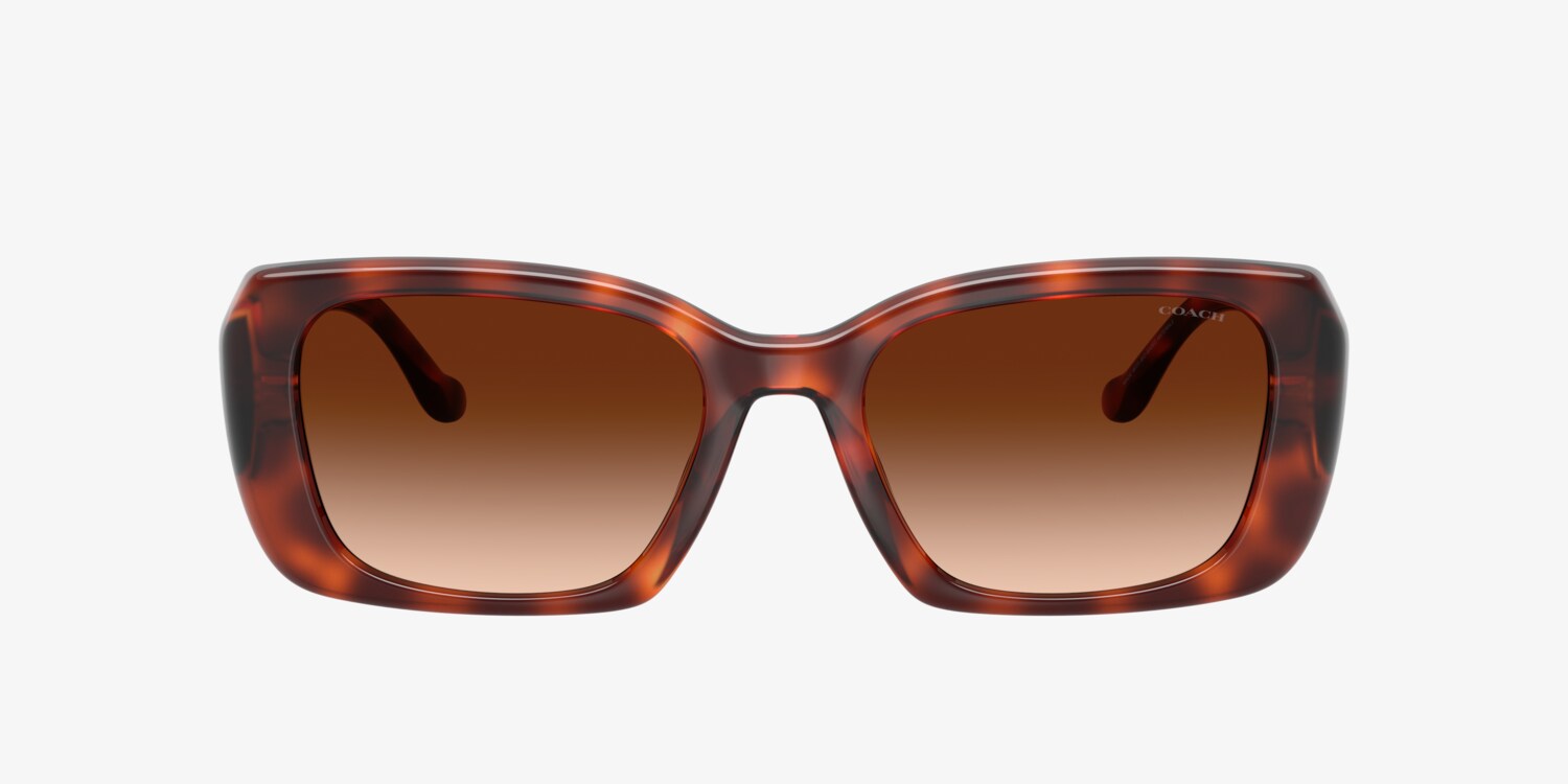 Coach HC8435U CBY82 Sunglasses | LensCrafters display picture 2
