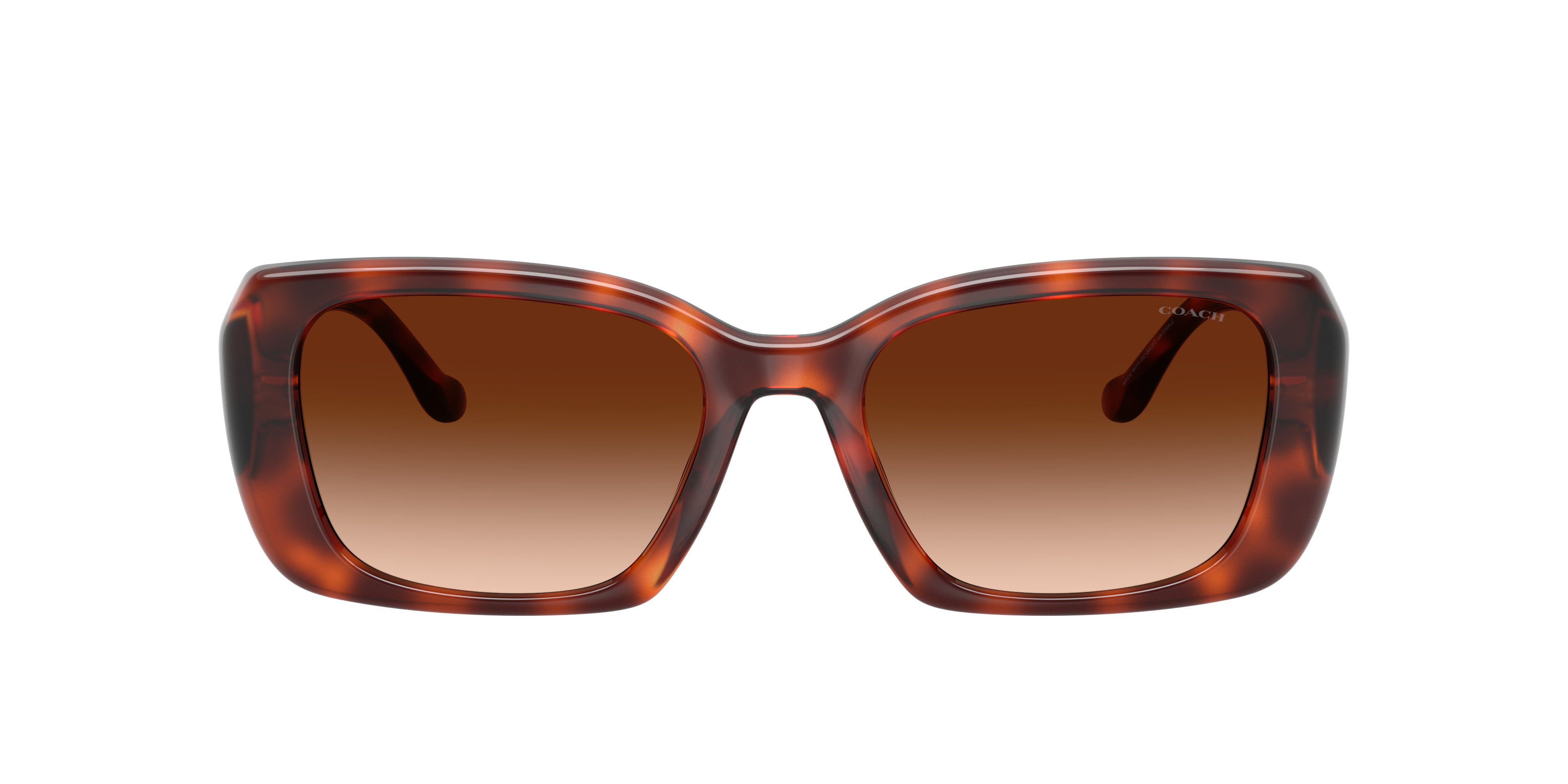 Coach HC8435U CBY82 Sunglasses | LensCrafters