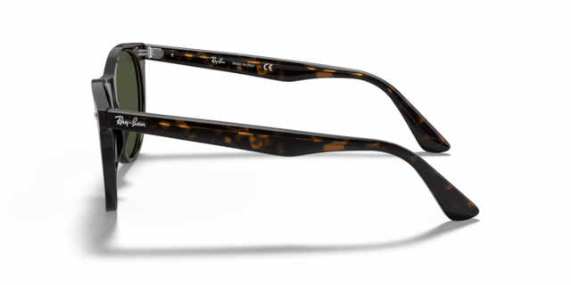 Ray-Ban Unisex Tortoise