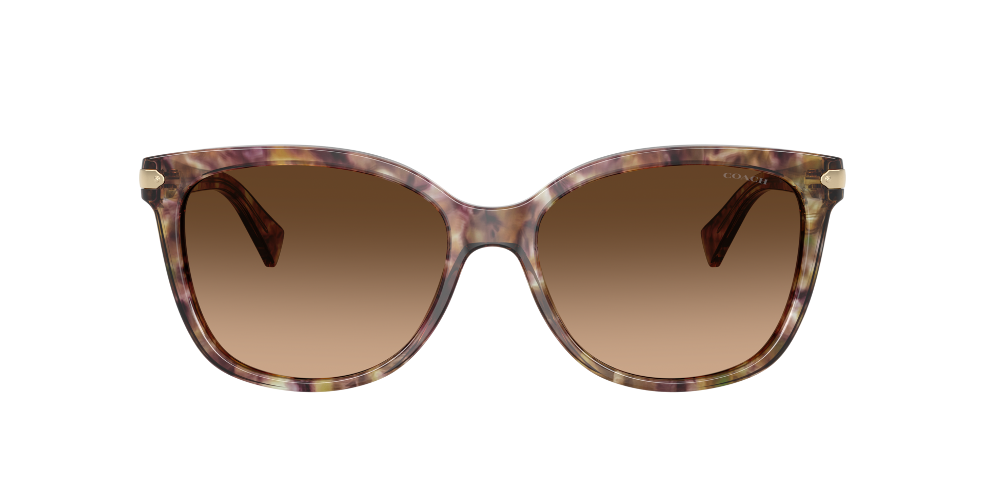 Coach Vintage (early 2000) Women\'s Sunglasses in Navy, Tortoise, HC 8049 Alexa Coach HC8410U Tortoise, Green frame with brown gradient  main image 3