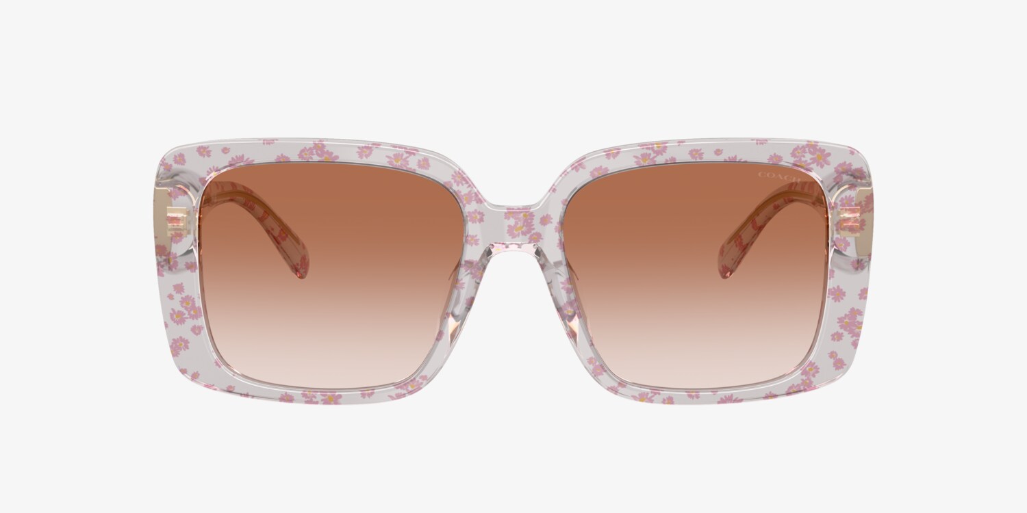 Coach Black Sunglasses with Pink Floral Temples Coach HC8264 sunglasses for women in Petal Tortoise main image 2