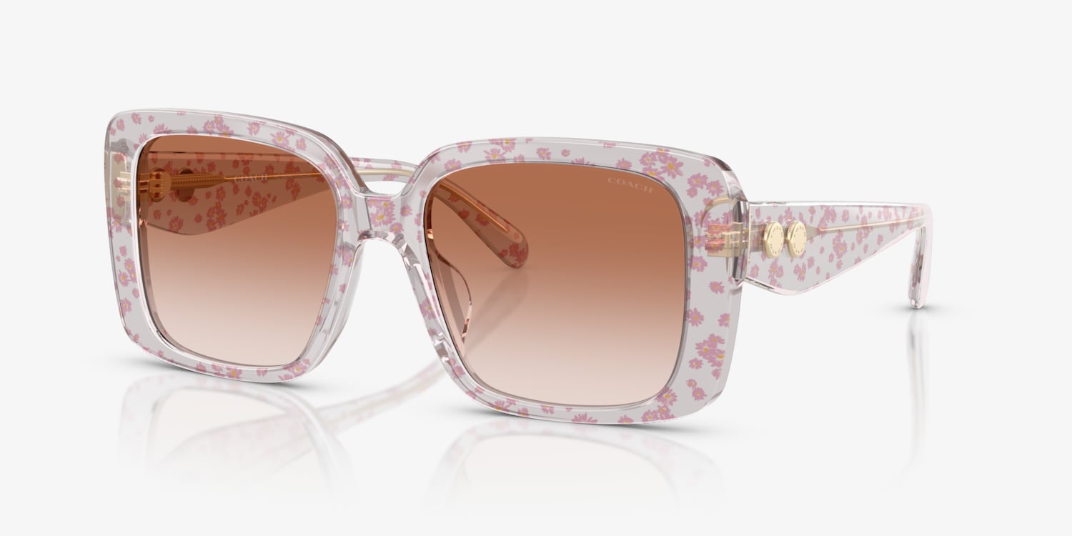 Coach HC8424U CAD54 Sunglasses | LensCrafters