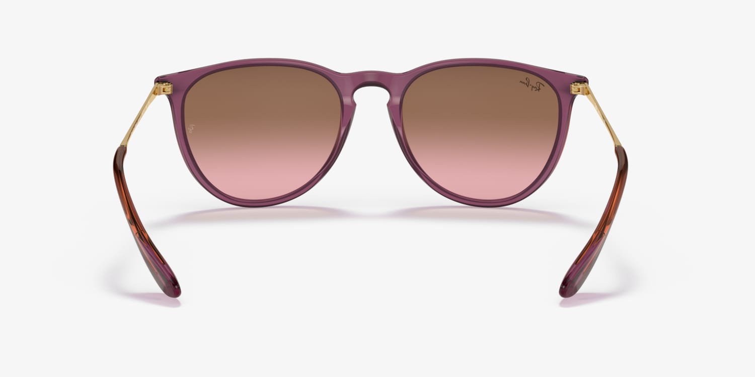 Ray-Ban ERIKA CLASSICケース付き ERIKA CLASSIC Sunglasses in Havana and Brown - RB4171 | Ray