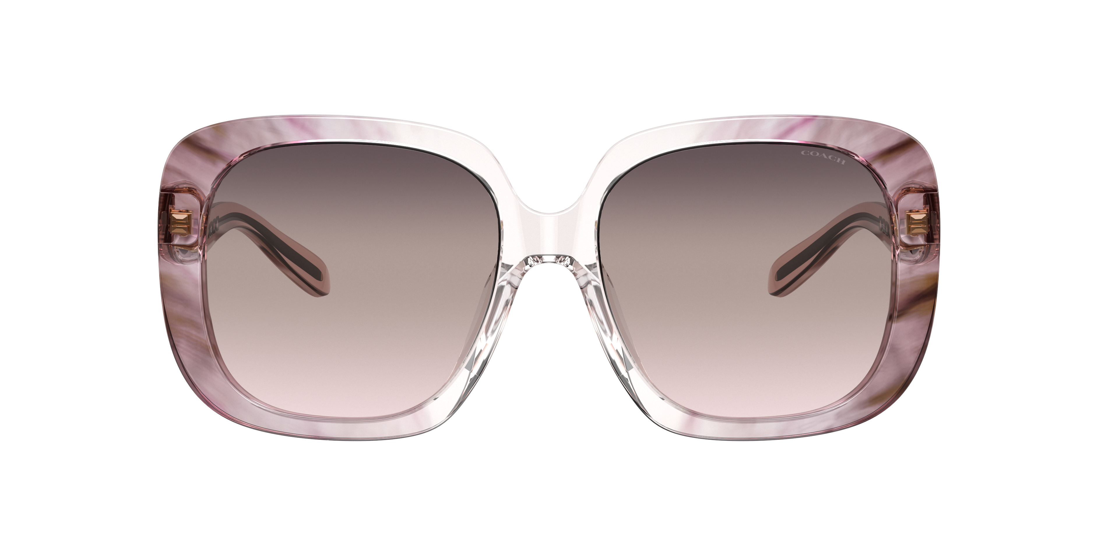 Coach HC8323U C6185 Sunglasses | LensCrafters