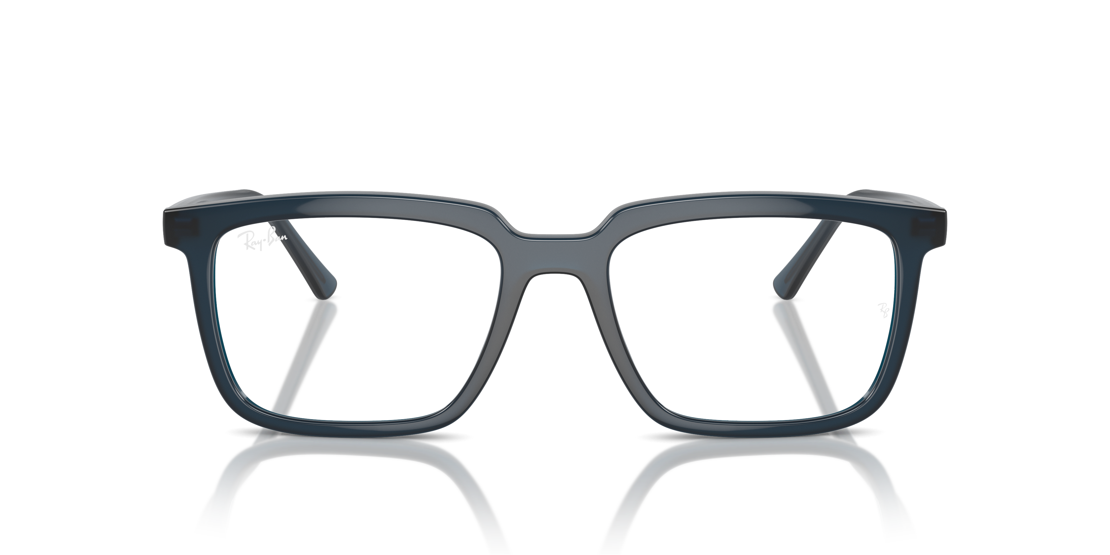 RB7239F Alain Optics