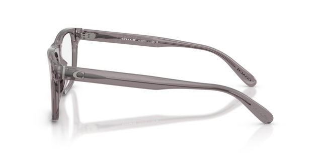 Coach Man Transparent