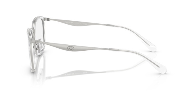 Coach Man Transparent