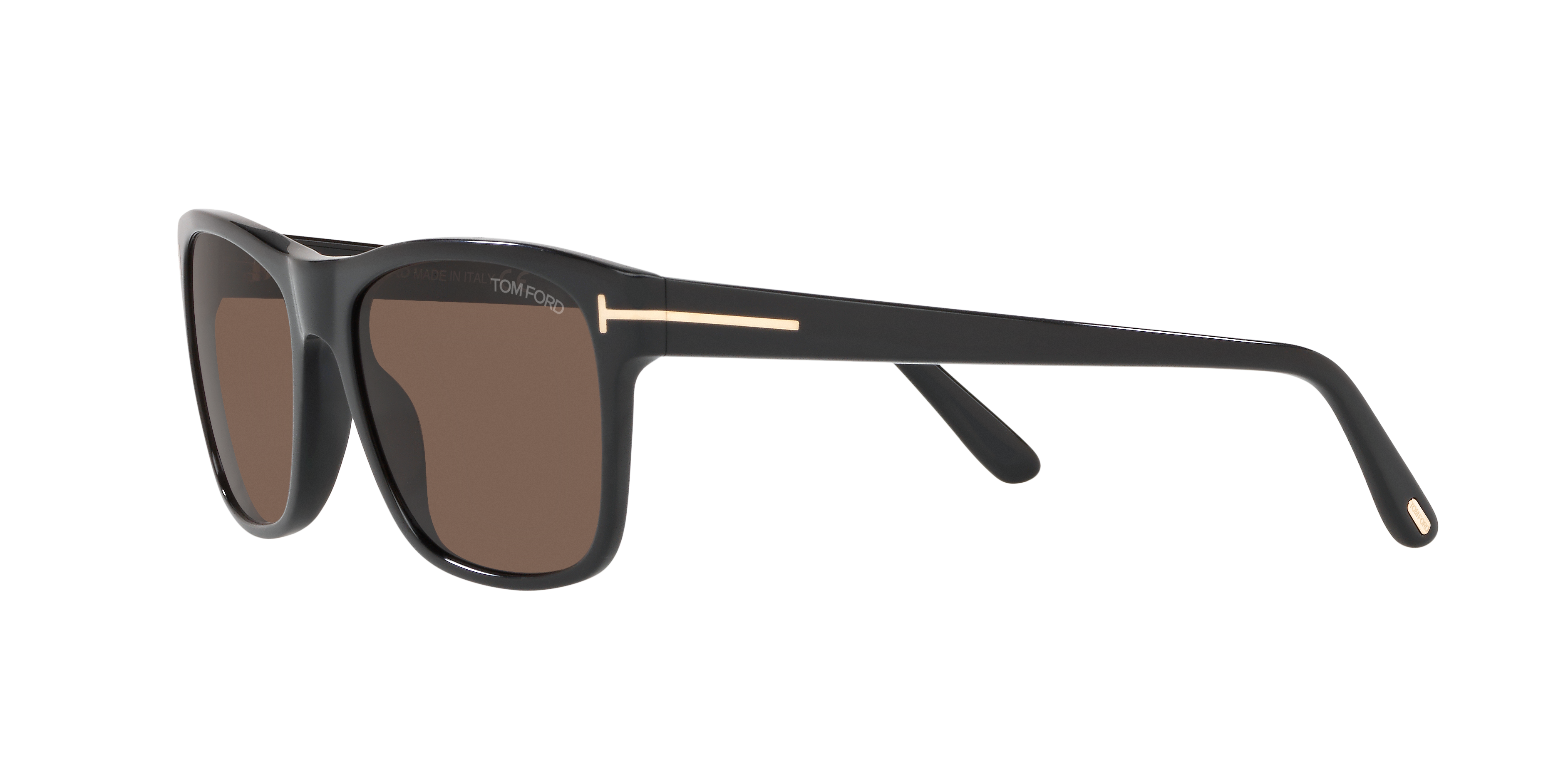 Tom Ford FT0698 Sunglasses | LensCrafters