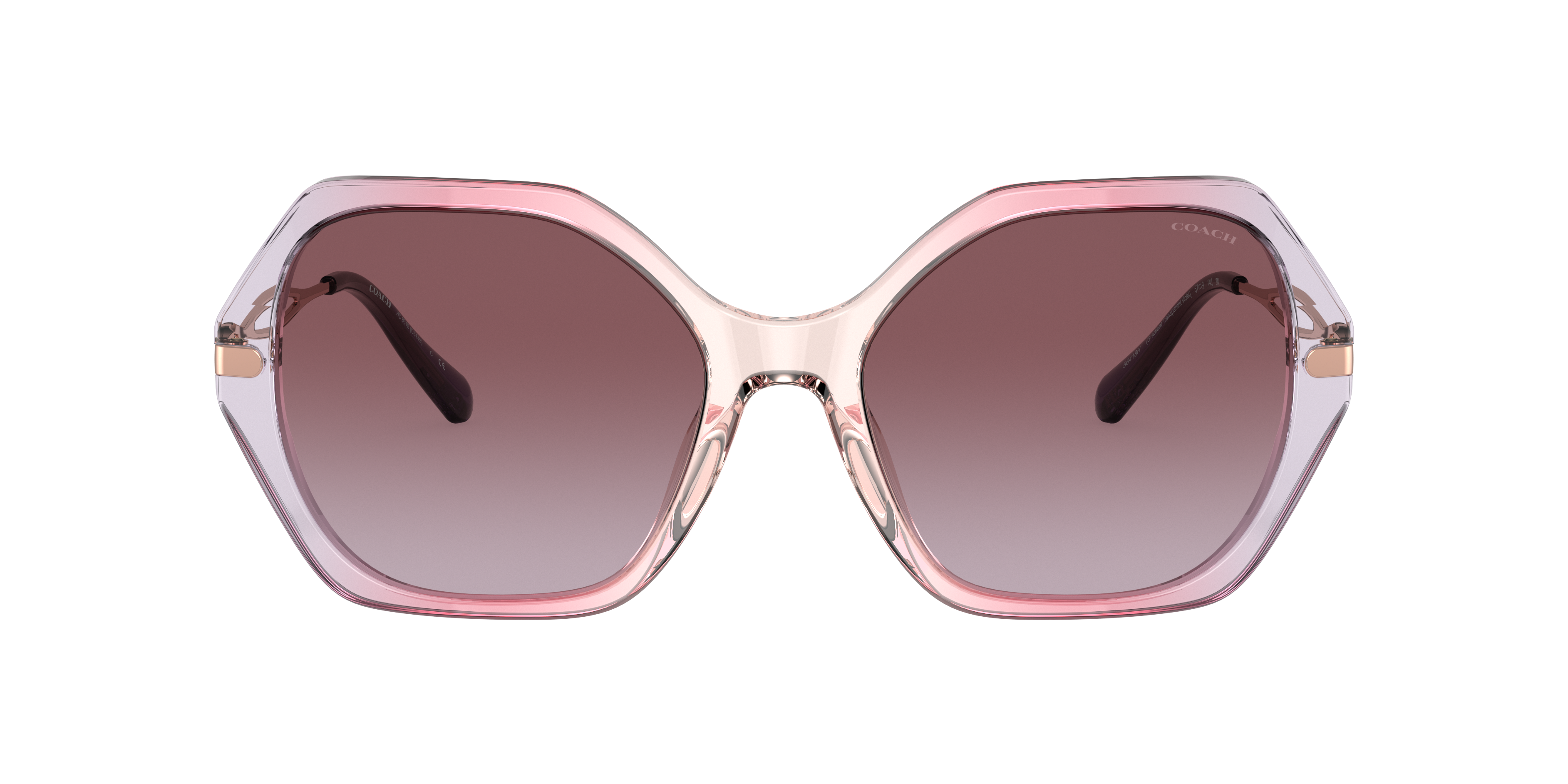 Coach HC8315 C3445 Sunglasses | LensCrafters