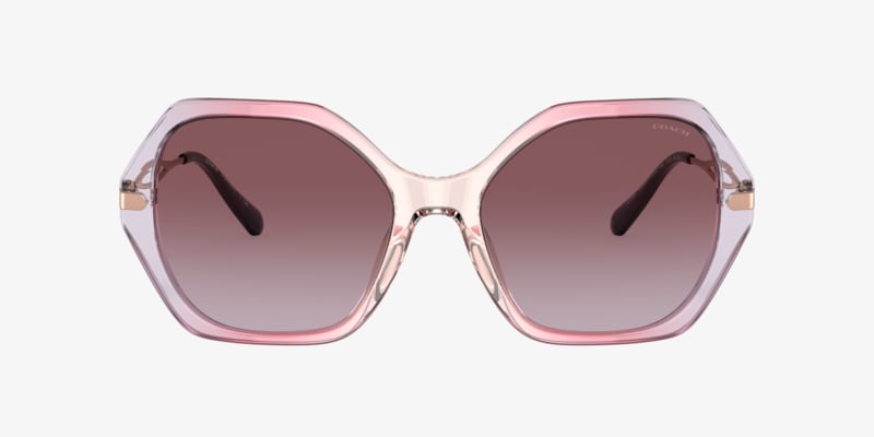 Coach HC8315 C3445 Sunglasses | LensCrafters