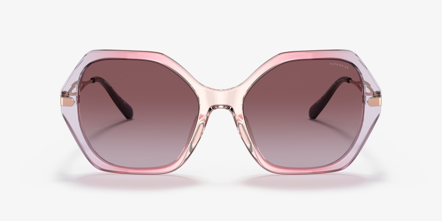 Coach HC8315 C3445 Sunglasses | LensCrafters