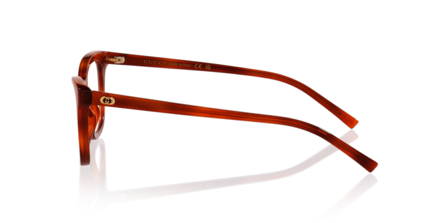 Gucci Woman Tortoise