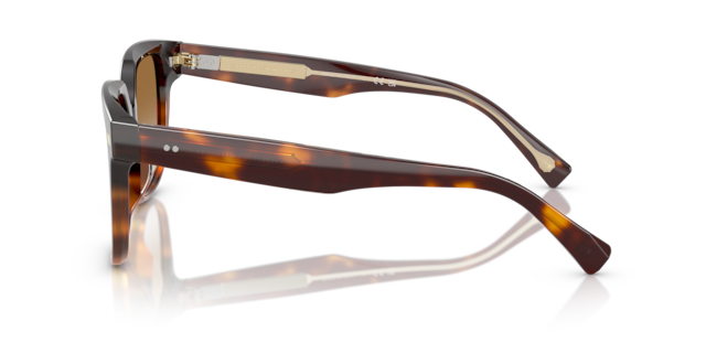 Brunello Cucinelli Woman Havana Gradient