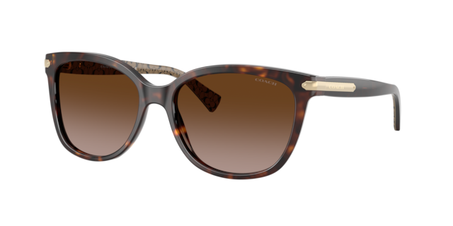 Coach Woman Tortoise
