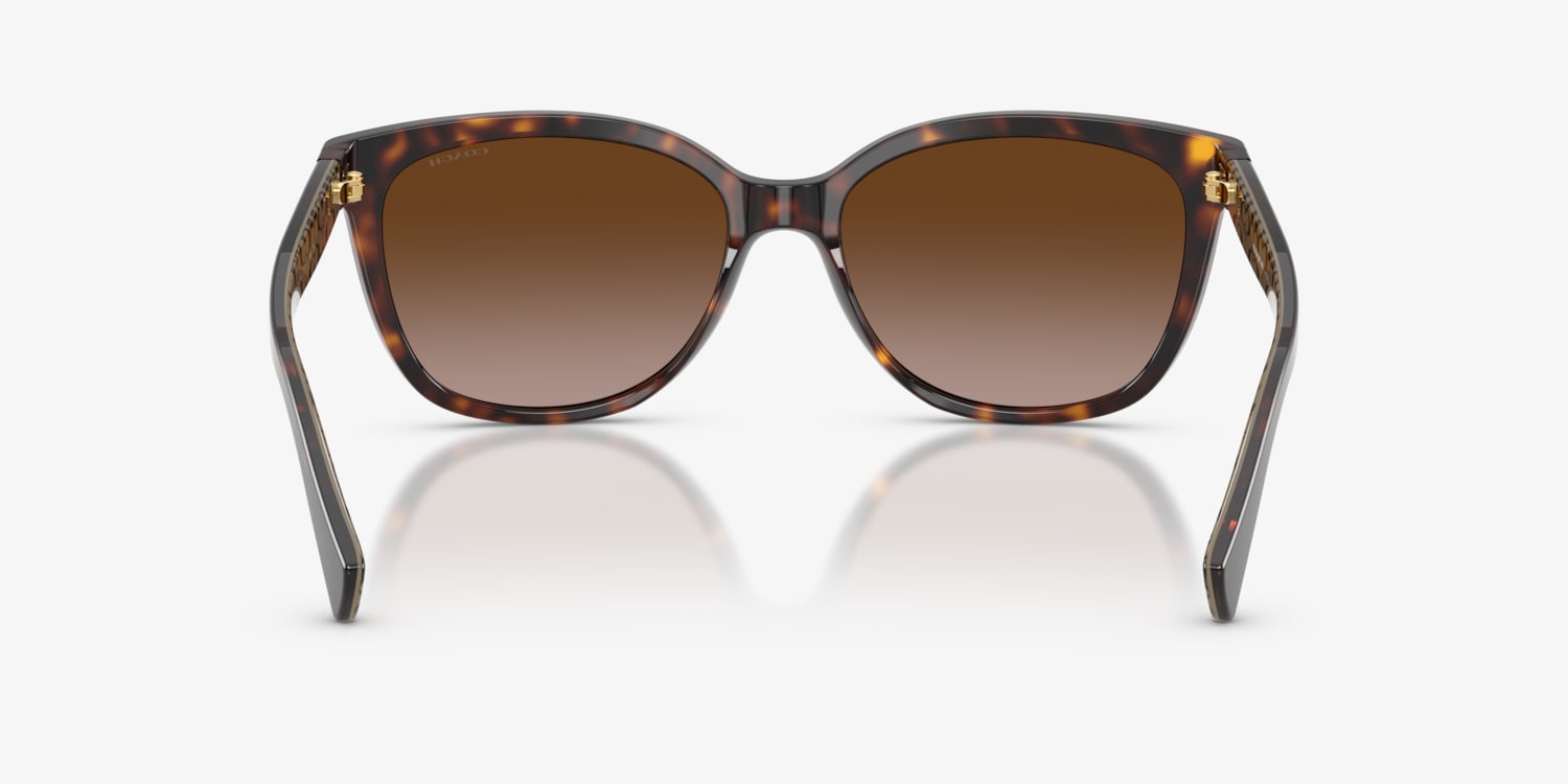 Coach HC8132 L109 Sunglasses | LensCrafters