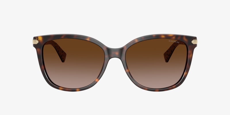 Coach HC7170 CW185 Sunglasses | LensCrafters