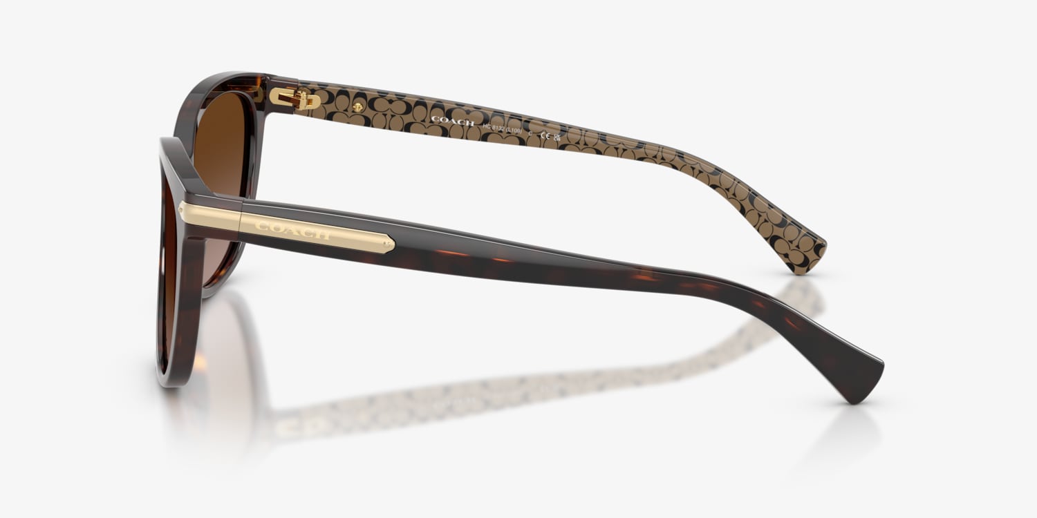 Coach HC8132 L109 Sunglasses | LensCrafters
