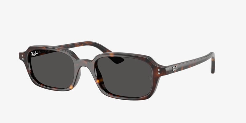Ray-Ban RB4456 Zaya Bio-Based Sunglasses | LensCrafters