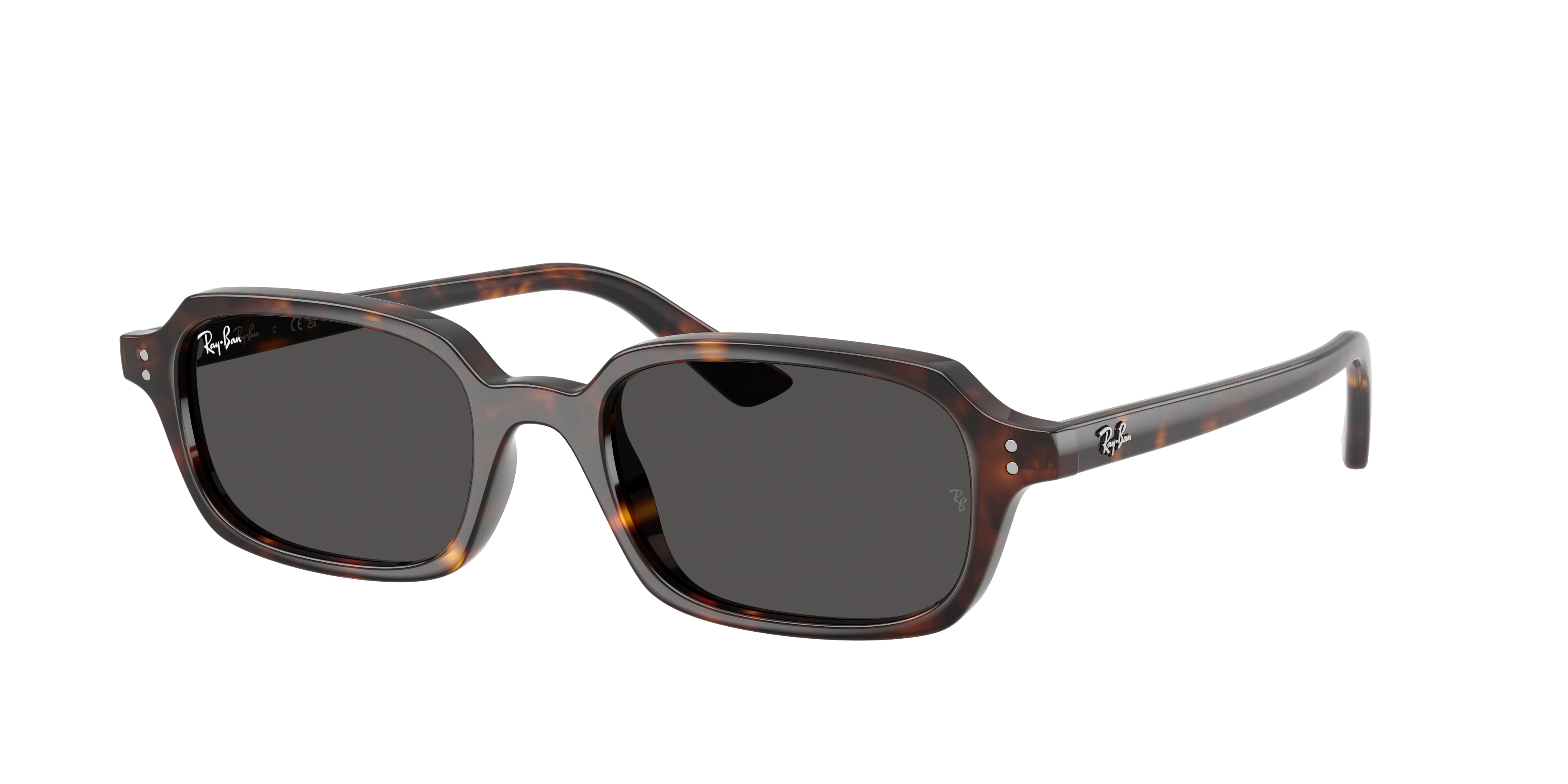 Ray-Ban RB4455 Zuri Bio-Based Sunglasses | LensCrafters